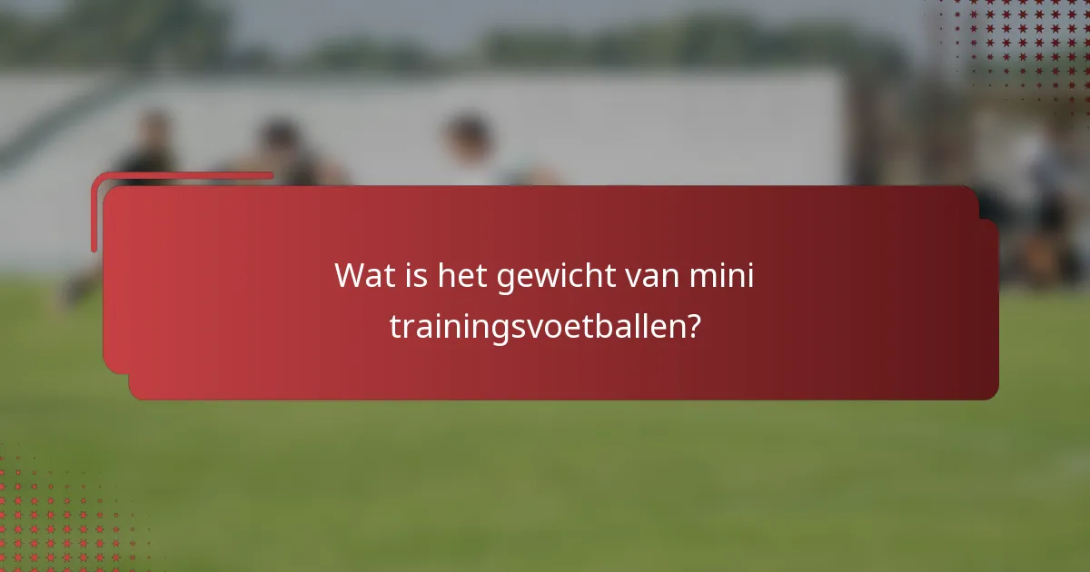 Wat is het gewicht van mini trainingsvoetballen?